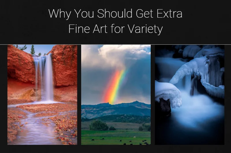 Why You Should Get Extra Fine Art For Variety
