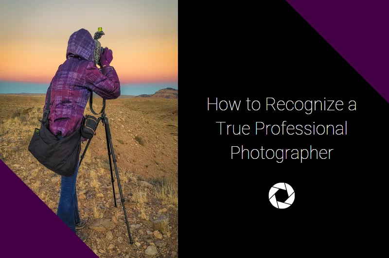 How to Recognize a True Professional Photographer
