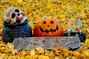 Cramer Imaging's professionally photographed Halloween theme with cauldron, skull, jack-o-lantern, crystal ball, zombie sign, and fall leaves