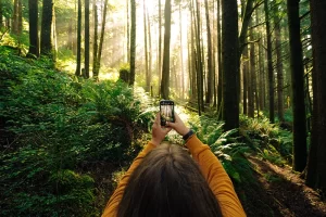 Photograph of a woman taking a cell phone photo in the forest using natural light