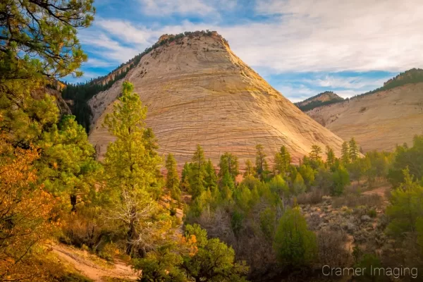 Cramer Imaging's fine art landscape photograph of golden sunset light hitting the Checkerboard Mesa in Zion National Park Utah in autumn or fall
