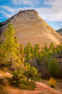 Cramer Imaging's fine art landscape photograph of golden sunset light hitting the Checkerboard Mesa in Zion National Park Utah in autumn or fall