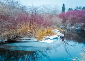 Cramer Imaging's professional quality landscape photograph of icy reflecting stream and red branches at Cherry Springs Nature Area, Caribou National Forest near Pocatello, Bannock, Idaho