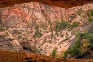 Cramer Imaging's fine art landscape photograph of an autumn canyon view from a Zion's National Park cave in Utah