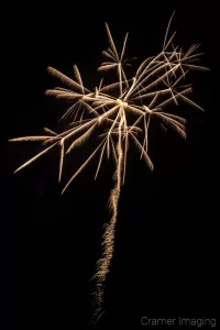 Cramer Imaging's fine art photograph of a single odd-shaped firework in the night sky on the 4th of July