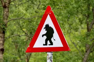 Photograph of a warning sign in the woods showing a troll