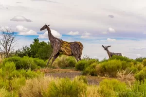 Landscape photo of animal sculptures in sagebrush in Boulder Utah