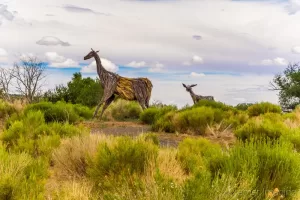 Landscape photo of animal sculptures in sagebrush in Boulder Utah