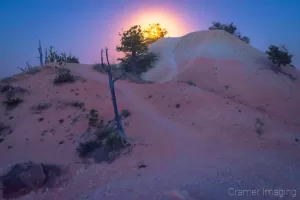 Photograph of an underexposed landscape lit by the moon