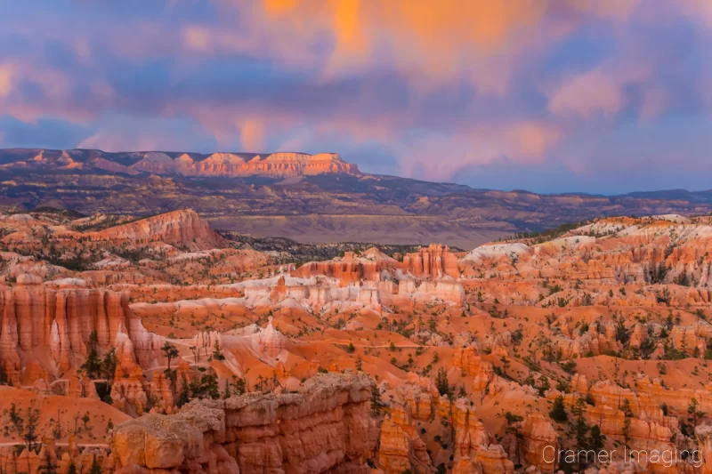 Landscape photograph which has no clear subject matter or focus