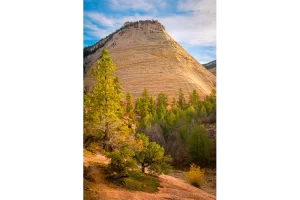 Checkerboard Mesa in Autumn