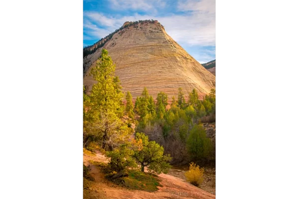 Cramer Imaging's fine art landscape photograph of golden sunset light hitting the Checkerboard Mesa in Zion National Park Utah in autumn or fall