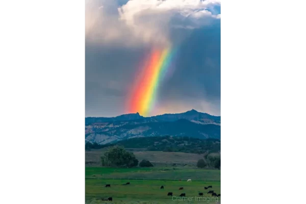 Cramer Imaging's fine art landscape photograph of a rainbow appearing over an idyll or rural landscape with cows in Utah