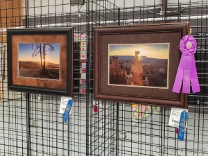 Photo of 2 Cramer Imaging landscape photographs receiving blue ribbons and sweepstakes awards at Garfield Utah County Fair 2020