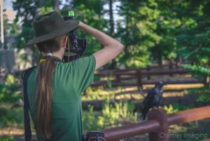 Photo of professional landscape photographer Audrey taking a picture of a raven by Cramer Imaging