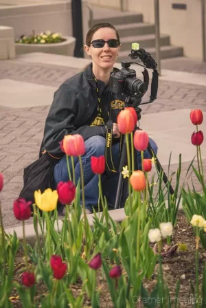 Photographer Audrey Cramer taking pictures of several colorful tulip flowers