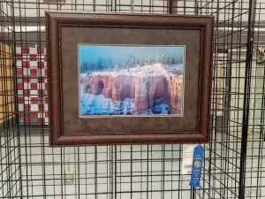 Photo of a Cramer Imaging landscape photograph receiving a blue ribbon award at Garfield Utah County Fair 2020