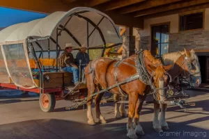 Cramer Imaging's photograph of two horses attached to a covered wagon for tourist rides in Bryce City Utah