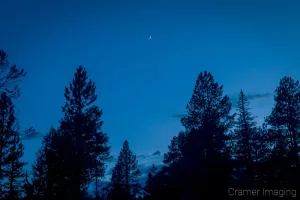 Cramer Imaging's fine art nature photograph of a cresent moon rising over a forest in silhouette at twilight or blue hour