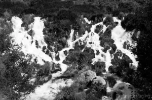 Cramer Imaging's professional black and white landscape photograph of Niagara Springs waterfall in Thousand Springs State Park near Hagerman, Idaho