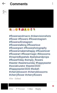 Instagram list of 30 hashtags on a post