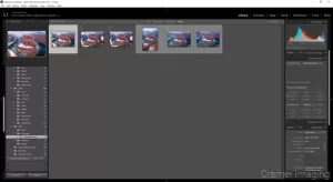 Cramer Imaging's screen shot of Adobe Lightroom opened up with photos ready to process up