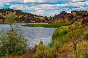 Professional scenic landscape photograph by Cramer Imaging of the Snake River and wild plants at Massacre Rocks State Park, Idaho