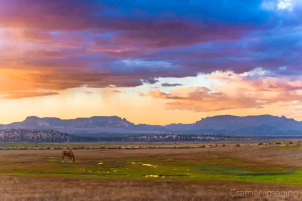 Cramer Imaging's fine art landscape photograph of a horse grazing in a wide open field in Utah with a dramatic sunset above