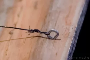 Photograph of a picture wire hook attached to a wooden frame with picture wire attached to it by Cramer Imaging