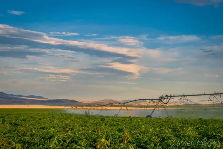 Cramer Imaging's commercial landscape photograph of a pivot line watering a potato field with dramatic sky