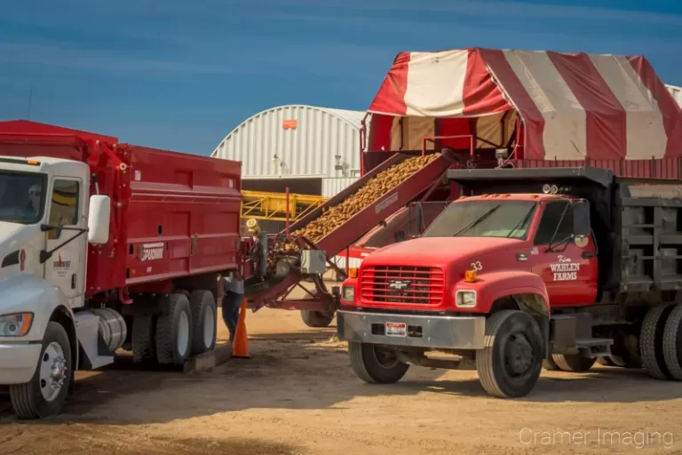 Cramer Imaging's commercial photograph of potatoes being stored in a potato barn