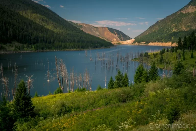 Cramer Imaging's quality landscape photograph of Quake Lake or Earthquake Lake in with the hills and forest in Montana