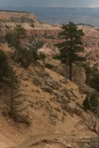 Raw unprocessed photograph of Bryce Canyon National Park Utah