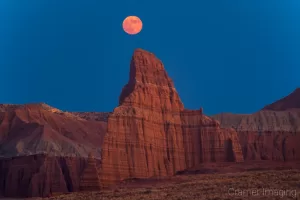 National Parks Collection