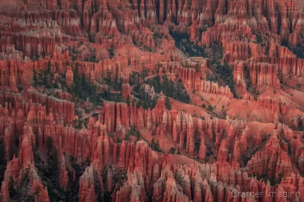 Cramer Imaging's fine art landscape photograph of the red hoodoos of Bryce Canyon, Utah from above