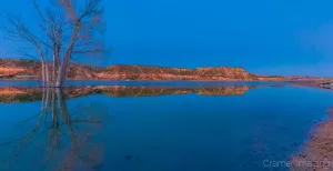 Cramer Imaging's fine art landscape panorama photograph of a tree reflecting in the water of Wide Hollow Reservoir Escalante Utah at twilight