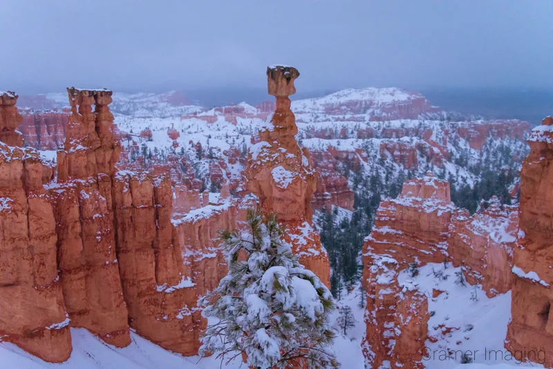 <a href="/shop/nps-collection/bryce-canyon/forged-in-ice">Buy Prints</a>