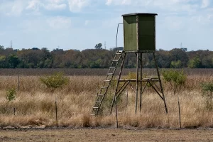 Photo of a permanent hunting blind useful for both hunting and wildlife photography