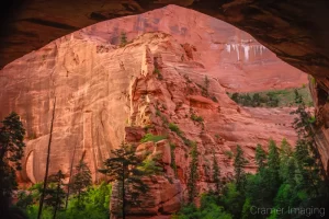 Cramer Imaging's fine art landscape photograph of the view from Double Arch Alcove of Kolob Canyon in Zion National Park, Utah at sunset in spring