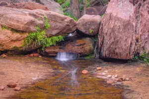 Fine art landscape photograph of a silky water stream flowing though the red rocks of Zion National Park, Utah with spring green plants by Cramer Imaging