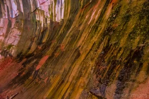 Cramer Imaging's fine art nature photograph of close-up texture of a rock wall in Zion National Park, Utah