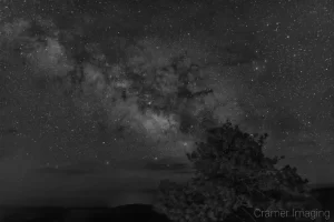 Cramer Imaging's fine art landscape photograph of the Milky Way rising over Bryce Canyon National Park Utah and aligning with a tree in monochrome