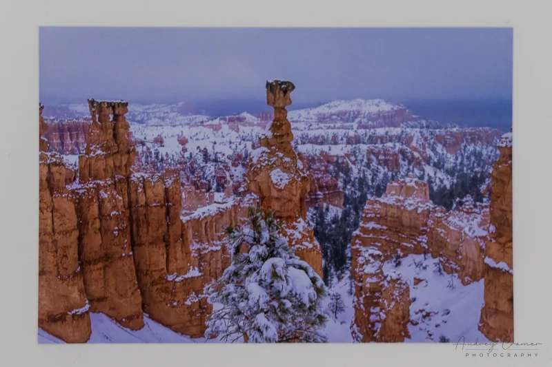 Photo of a print of Audrey Cramer Photography's "Forged in Ice" landscape photograph using the DisplayCAL profile
