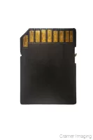 Illustration of and SD memory card on a white background by Cramer Imaging